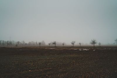 Scenic view of field against clear sky