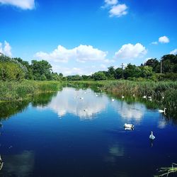 Scenic view of lake against blue sky