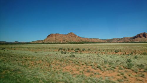 Scenic view of field against clear blue sky