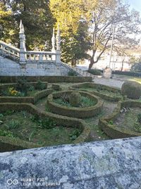 High angle view of garden in park