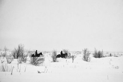 Bare trees on snow covered field against sky