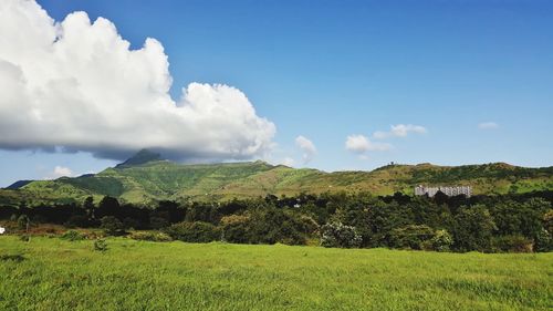 Scenic view of landscape against sky