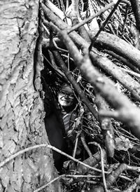 Close-up of tree trunk