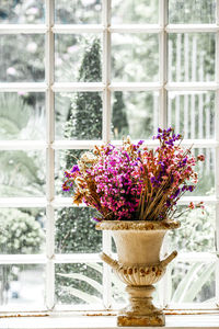 Close-up of flower vase against glass window