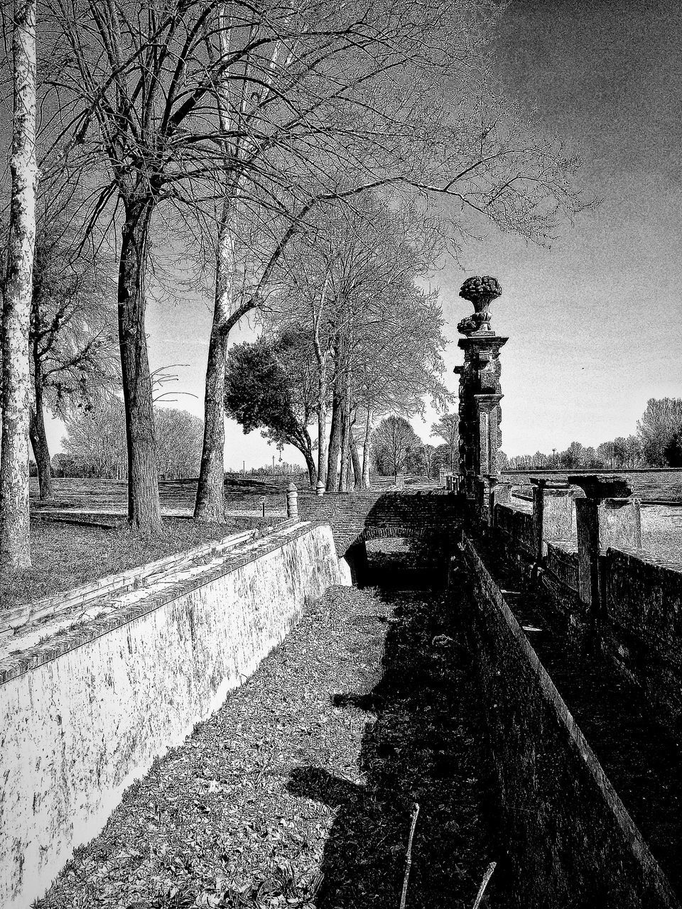 SHADOW OF TREES ON FOOTPATH