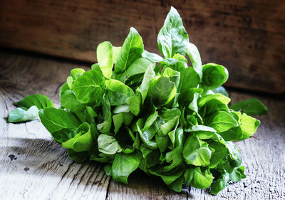 High angle view of green leaves on table