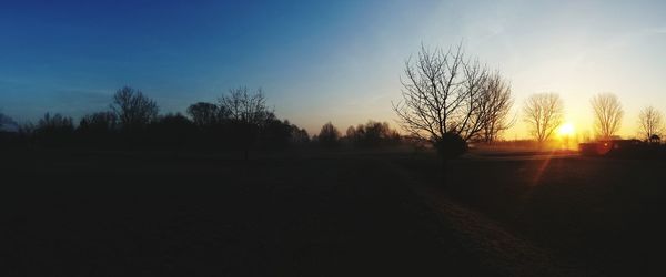 Silhouette of trees at sunset
