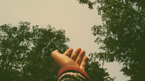 personal perspective