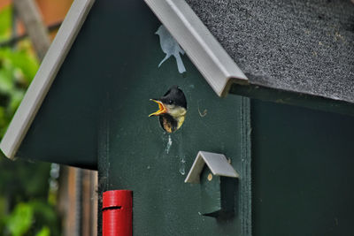 Close-up of house