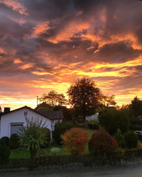 Trees and houses against sky during sunset