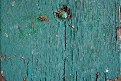 Full frame shot of blue wooden door