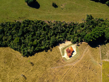 High angle view of trees growing on field