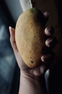 Close-up of hand holding apple