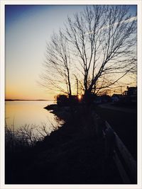 Bare trees by sea at sunset