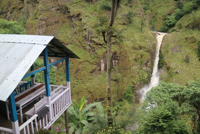 Scenic view of waterfall in forest