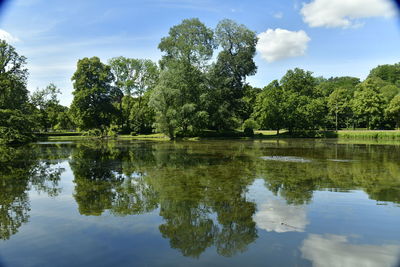 Reflection of trees in lake against sky