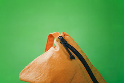 Close-up of a horse against green background