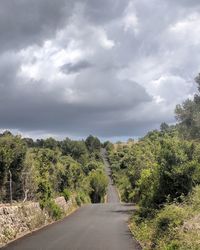 Road amidst trees against sky