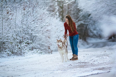 Full length of a dog on snow covered land