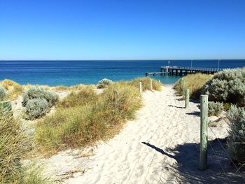 Path leading towards beach