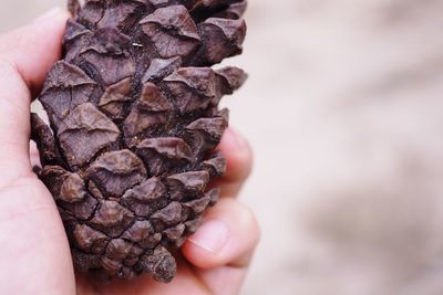 Close-up of person holding ice cream