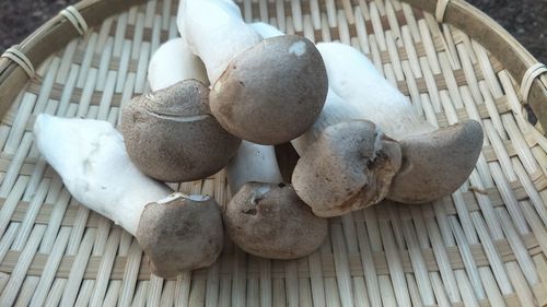 High angle view of mushrooms in basket on table