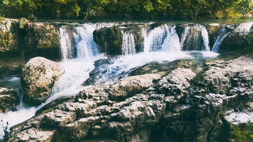 Scenic view of waterfall in forest