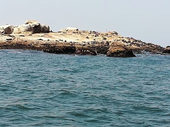 Scenic view of sea against clear sky