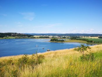 Scenic view of field by lake against blue sky