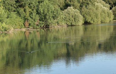 Scenic view of lake