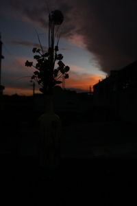 Silhouette tree against sky at sunset