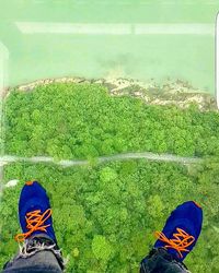 Low section of man standing on green landscape