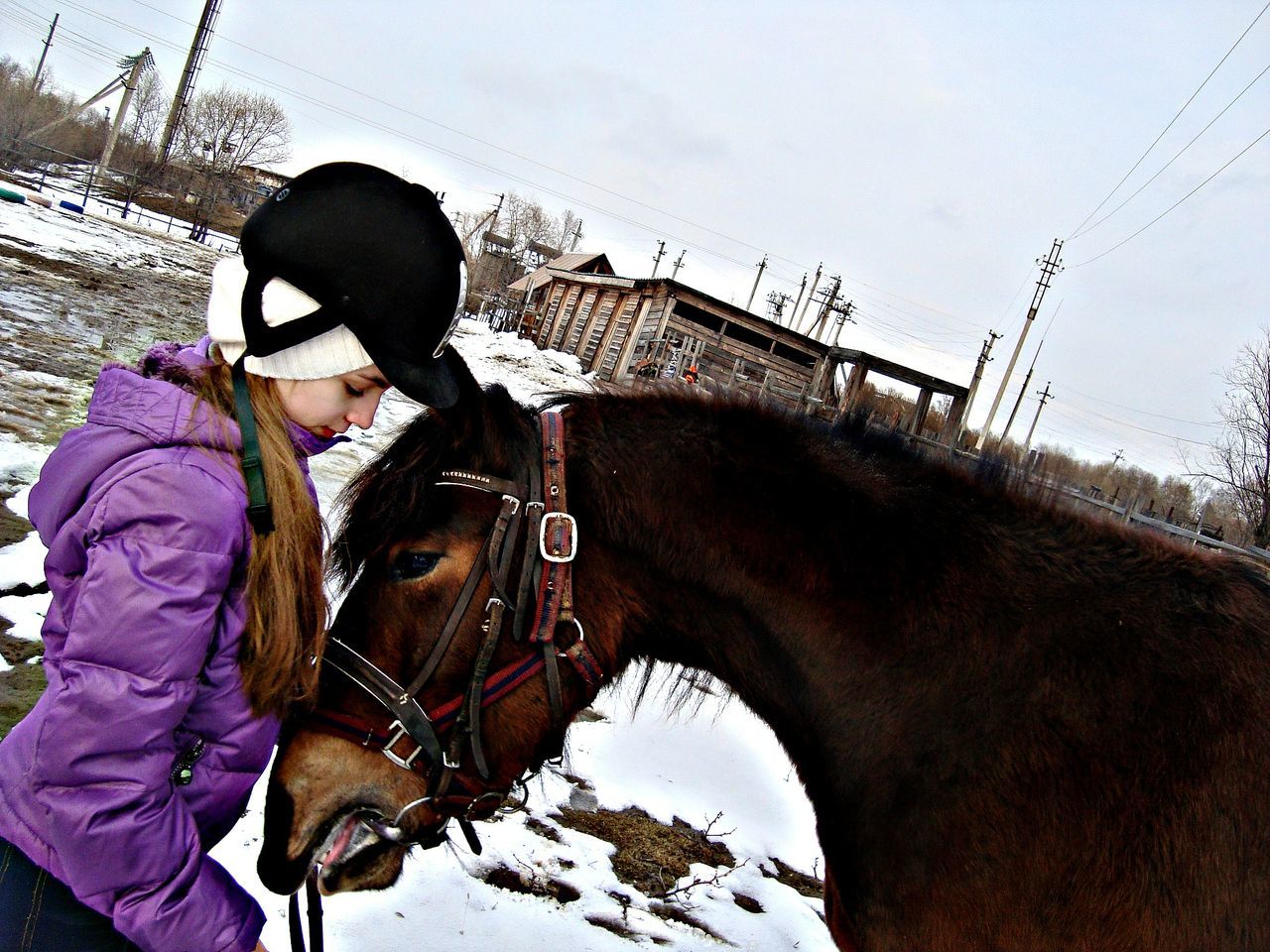 winter, snow, men, cold temperature, transportation, clear sky, horse, mode of transport, working animal, lifestyles, leisure activity, animal themes, land vehicle, mountain, sky, rear view, livestock, season