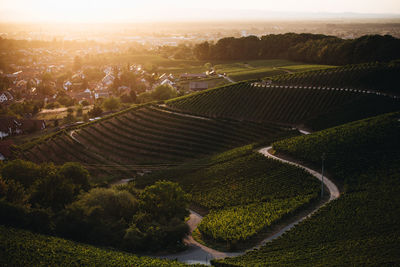 High angle view of agricultural field against sky at sunset