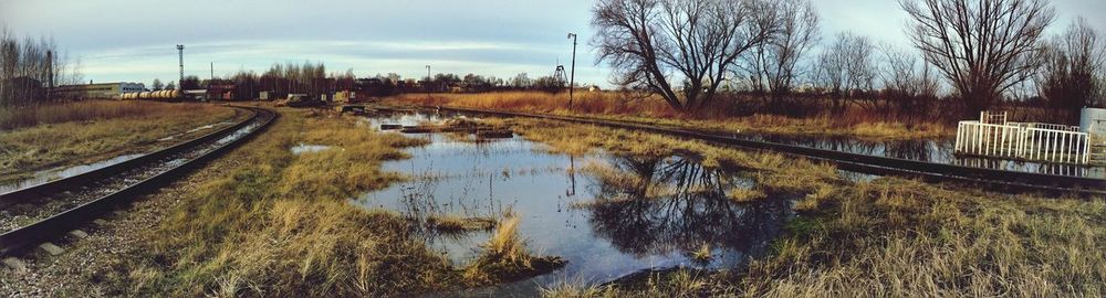 Reflection of trees in river