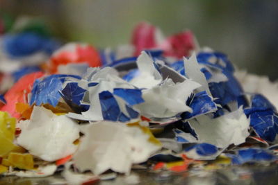 Close-up of multi colored flowers on table