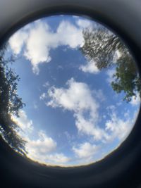 Low angle view of trees against sky