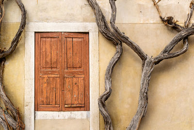 Closed door of old building