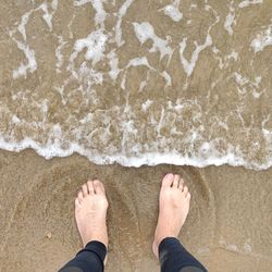 Low section of person standing on beach