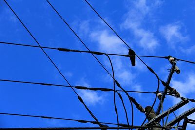 Low angle view of power lines against blue sky