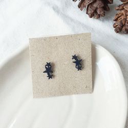 High angle view of insect