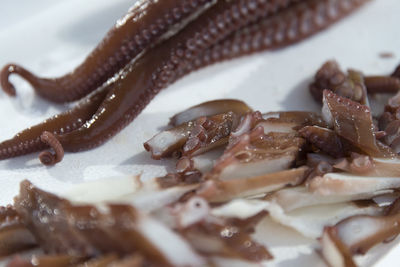 Close-up of seafood in plate