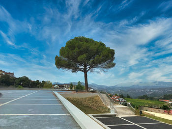 Trees by road against blue sky