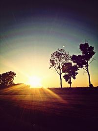 Silhouette of trees at sunset