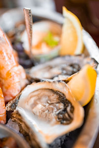 Fresh oysters on a plate with other seafood.