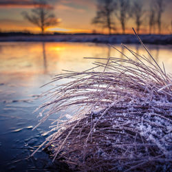 A beautiful frozen pond in the rural scene during the morning golden hour. 