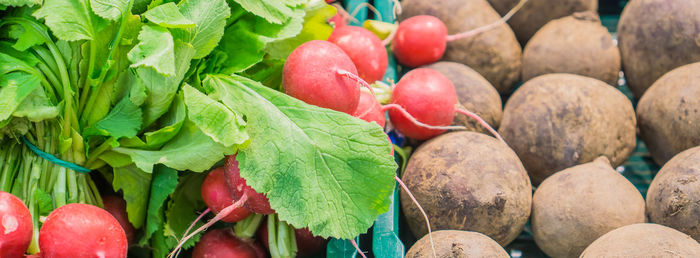 Close-up of vegetables