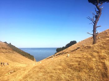 Scenic view of sea against clear blue sky