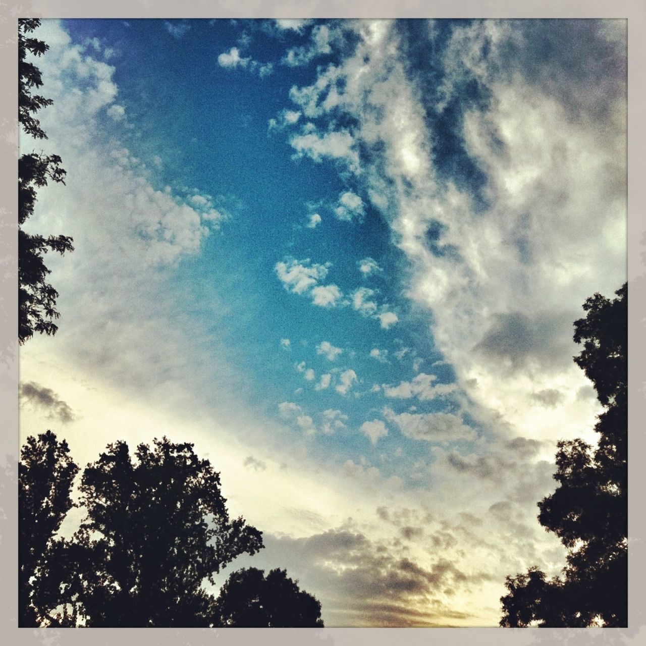 sky, transfer print, tree, cloud - sky, low angle view, auto post production filter, cloudy, cloud, silhouette, tranquility, beauty in nature, tranquil scene, scenics, nature, outdoors, growth, no people, blue, idyllic, day