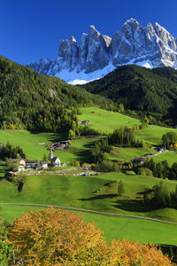 Scenic view of golf course against clear sky